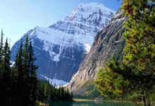 运动员们备战全力，期待冠军加冕