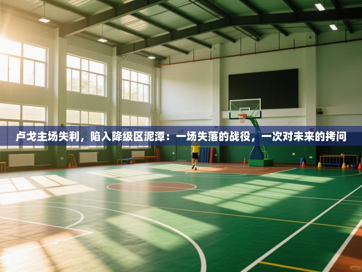 卢戈主场失利，陷入降级区泥潭：一场失落的战役，一次对未来的拷问  第2张