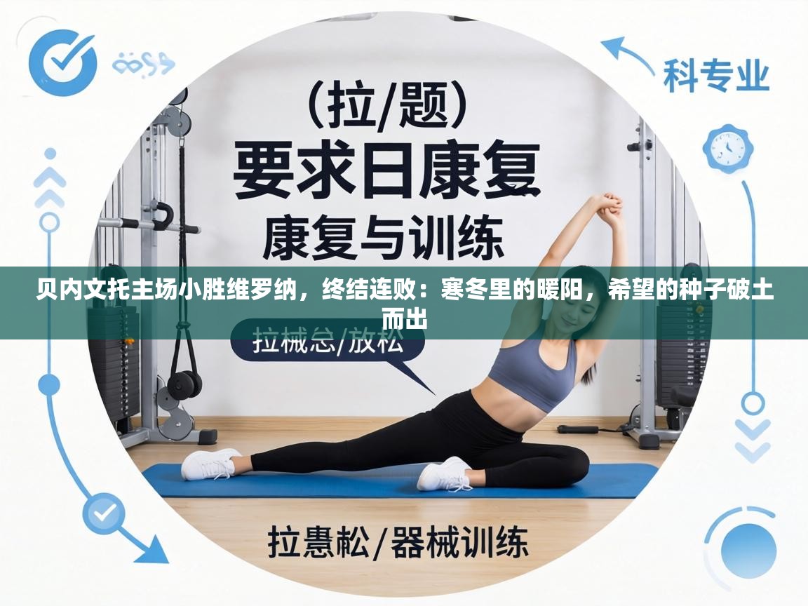 贝内文托主场小胜维罗纳，终结连败：寒冬里的暖阳，希望的种子破土而出  第2张